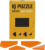 Головоломка IQ Puzzle Figures, прямоугольник