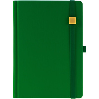 Ежедневник Favor Gold, недатированный, ярко-зеленый