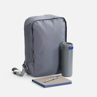 Набор Flexpen Travel, серый с синим