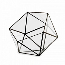 Флорариум черный Икосаэдр (15 см)