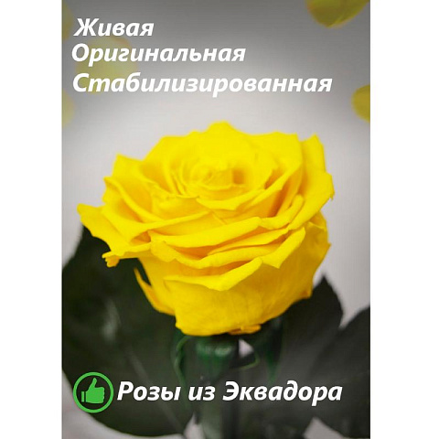 Желтая роза в колбе (средняя) - рис 3.