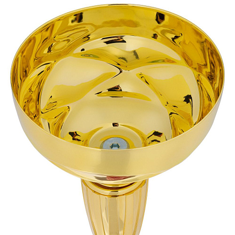 Кубок Kudos, большой, красный - рис 3.