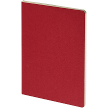 Бизнес-тетрадь А4 Pragmatic,  40л., клетка, красный