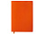 Блокнот C1 софт-тач, гибкая обложка, 128 листов, оранжевый - миниатюра - рис 2.