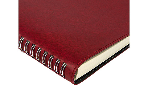 Ежедневник А5 Tintoretto, бордовый - рис 2.