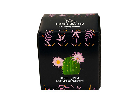 Набор для выращивания Small village cube Эхиноцереус - рис 2.