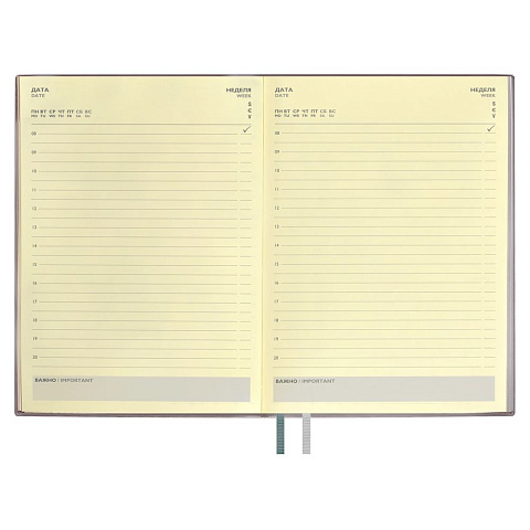 Ежедневник Avila, недатированный, серый - рис 10.