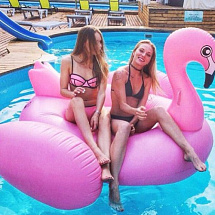 Огромный надувной фламинго