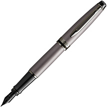 Перьевая ручка Waterman Expert Silver F BLK в подарочной упаковке