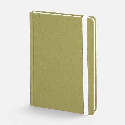 Блокнот Lactonica, зеленый - рис 2.