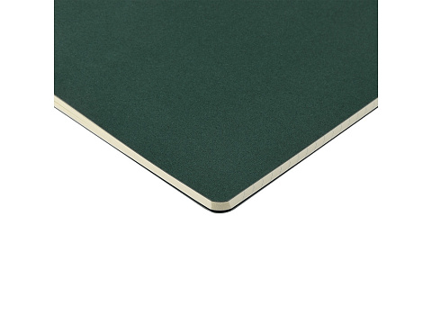 Бизнес-тетрадь А4 Pragmatic,  40л., клетка, зеленый - рис 4.