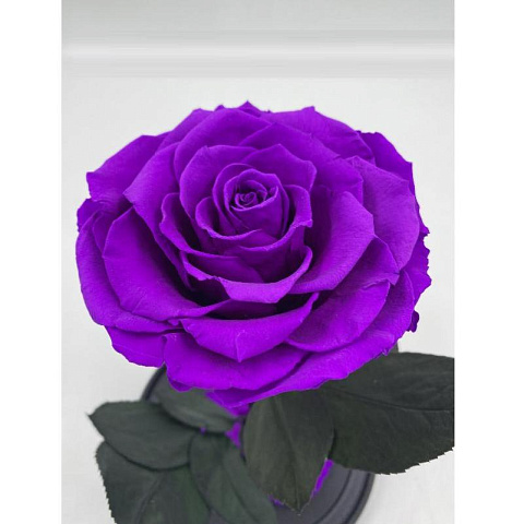Фиолетовая роза в колбе (большая) - рис 3.