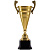 Кубок Recordsman, золотистый - миниатюра - рис 2.