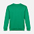 Свитшот унисекс Delta, зеленый - миниатюра - рис 2.