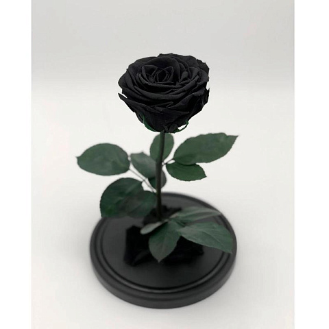 Черная роза в колбе (средняя) - рис 2.