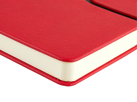 Ежедневник недатированный А5 Status, красный - рис 5.