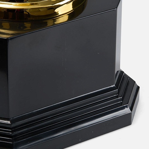 Кубок Recordsman, золотистый - рис 6.