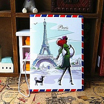 Обложка на паспорт Paris life