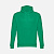 Худи унисекс Phoenix, зеленое - миниатюра