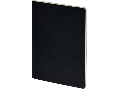 Бизнес-тетрадь А4 Pragmatic,  40л., клетка, черный