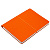 Ежедневник Flexpen Bright, недатированный, оранжевый - миниатюра - рис 5.