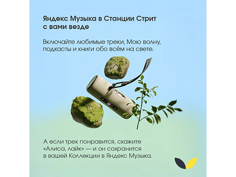 Умная портативная колонка Яндекс Станция Стрит с Алисой, зеленый (YNDX-00030GRN) - рис 10.