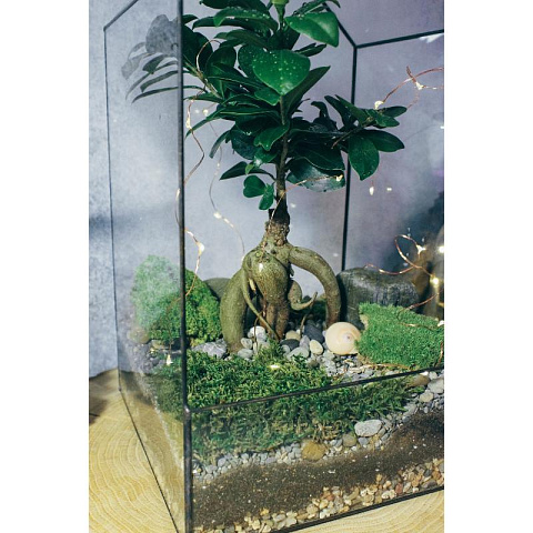 Сад в стекле Домик с бонсай - рис 5.