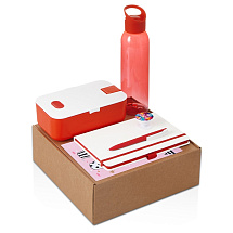 Подарочный набор с бутылкой для воды. блокнотом, ручкой и ланчбоксом, красный