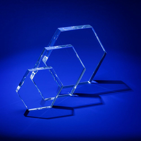 Награда Bee, малая - рис 4.