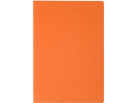 Бизнес-тетрадь А4 Pragmatic,  40л., клетка, оранжевый - рис 2.