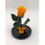 Оранжевая роза в колбе из стекла - миниатюра - рис 2.
