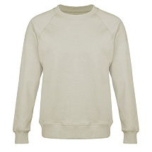 Свитшот оверсайз с рукавом реглан Belgrade, унисекс, оливковый