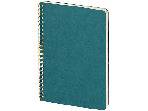 Бизнес тетрадь на гребне А5 Pragmatic, 60 листов в клетку, карибский синий