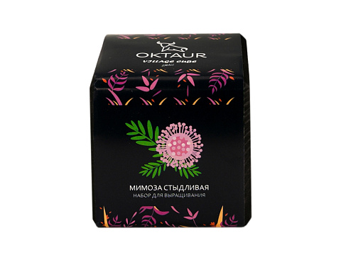 Набор для выращивания Small village cube Мимоза стыдливая - рис 2.