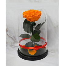Оранжевая роза в колбе (большая)