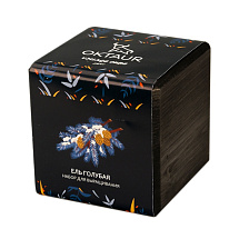 Набор для выращивания Small village cube Ель Голубая