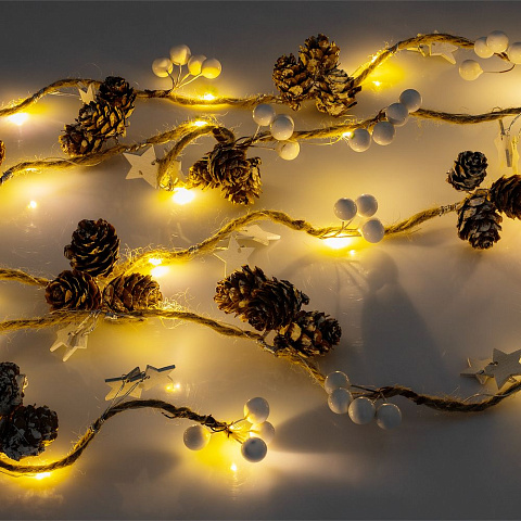 Набор «Важные шишки» - рис 5.