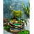 Сад в стекле Сказочный Остров - миниатюра