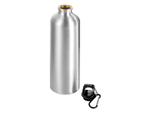 Бутылка Hip M с карабином, 770 мл, серебристый - рис 2.