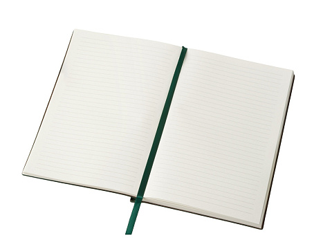Блокнот А5 Scribe, гибкая обложка, 96 листов 80 гр/м2, зеленый - рис 5.