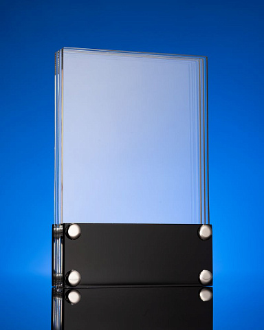 Награда Scriptum - рис 3.