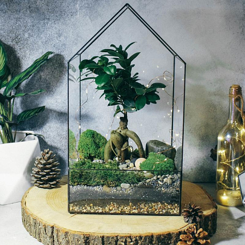Сад в стекле Домик с бонсай