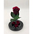 Красная роза в колбе из стекла - миниатюра - рис 2.