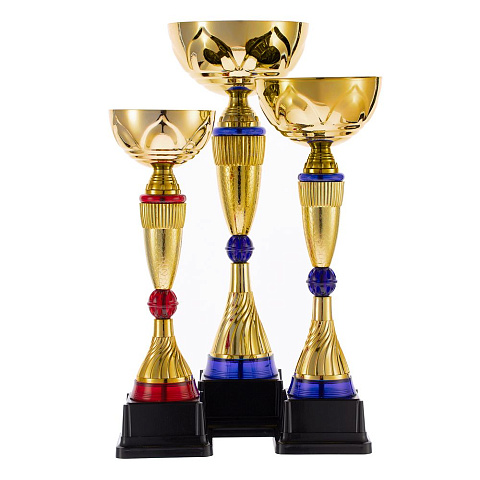 Кубок Awardee, средний, красный - рис 5.