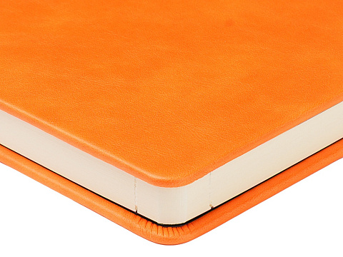 Ежедневник недатированный А5 Premier, оранжевый - рис 5.