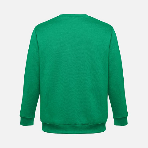 Свитшот унисекс Delta, зеленый - рис 3.