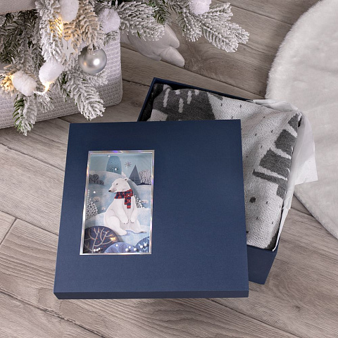 Коробка The Blue Bear, M - рис 3.