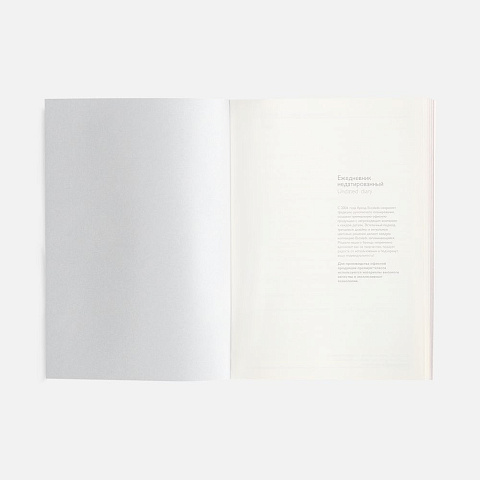 Ежедневник Repute, недатированный, красный - рис 9.